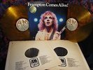 GOLD VINYL 1976 Orig STICKER   PETER FRAMPTON   COMES ALIVE  2LP  Hard ROCK