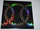 Tool - Lateralus Vinyl 2-LP Picture Discs Limited Edition