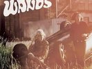 THE WANDS-THE DAWN-VINYL LP FUZZ CLUB NEW