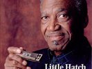 APO | Little Hatch - Goin' Back 180g LP NEU