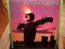 Sonic Youth -- Bad Moon Rising (LP) Homestead Records NM