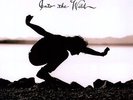 Into The Wild - Eddie Vedder (2010, Vinyl NEW)