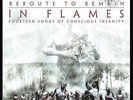 IN FLAMES - REROUTE TO REMAIN (RE-ISSUE 2014)(VINYL)
