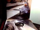 THE WONDER YEARS-Suburbia LP 1st Pressing Crystal Clear/500 Blink 182 FYS