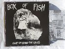 BOX OF FISH Slap Em Round The GIlls 12
