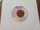 Ras Michael & Sons Of Negus - Volenteir Eithopians - Run Aggression Run 45 Vg++
