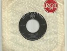 Elvis Presley  EX Lebanese 45 LSN? All That I Am / Spinout OST