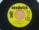SALT A Long Way To Go/Old Comedy 45 (Sandwich 0596) Ohio Garage Psych HEAR