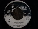 MAD MIKE ROCKER INSTRO  THE NIGHT RAIDERS  cottonpickin  PROFILE  NICE & GREAT