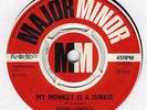 Peter Lincoln - Day Of My Youth/ My Monkey Is A Junkie (Major Minor UK 1967)