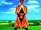 26523301 David Bowie - Earthling - [1 VINYL LP]