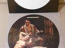 RAMMSTEIN  -  LIEBE IST FÜR ALLE DA -  RARE PICTURE EP 2009 / Vinyl