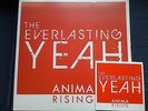 EVERLASTING YEAH (ex-That Petrol Emotion): Anima Rising LP+CD+poster