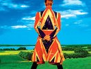 Earthling by David Bowie Vinyl LP RSD Black Friday 2015 New
