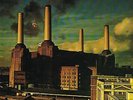 PINK FLOYD - ANIMALS (7C 064-98434) ORIGINAL 1977 SWEDISH PRESSING LP