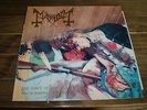 Mayhem the dawn of the black hearts 1995 1st Press LP