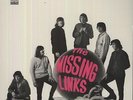Missing Links [Vinyl New]
