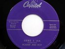 RONNIE & ROY 45 Here i am / Big fat sally Doowop e2196