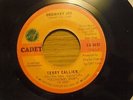 TERRY CALLIER - ORDINARY JOE -   PRESSING