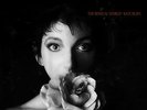 AFZLP 082 | Kate Bush - The Sensual World 180g LP oop NEU