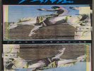 Widespread Panic-Space Wrangler-LP