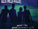 THE LIBERTINES ANTHEMS FOR DOOMED YOUTH LP VINYL NEW 33RPM