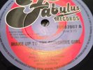 Rare Northern Soul Joey Delorenzo Wake Up To The Sunshine Girl Mint