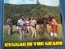 Reggae in the grass 33rpm LP record studio one S 9007 red label Jamaican 1970s
