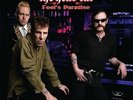 The Head Cat - Fool's Paradise