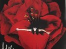 Smashing Pumpkins Adore Mono vinyl 2 LPs NM condition