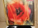 DOGS IN THE TRAFFIC LOVE AND MONEY 1ST PRESS 848 993 33RPM 12