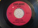 INSTRUMENTAL The Rockin' Ramrods Jungle Call on Explosive mp3