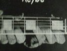 * AC/DC * Let There Be Rock * Lp *