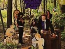 little boy blues - in the woodlands of weir (GRANADILLA) vinyl - LP