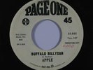 Psych 45 APPLE Buffalo Billycan/Let's Take A Trip Down The Rhine on Page One wlp