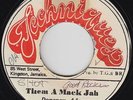 Roots Reggae 45 - Donavan Adams - Them A Mack Jah - Techniques - VG+ mp3