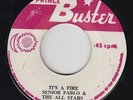 Roots Reggae 45 - Senior Pablo - It's A Fire/Java - Prince Buster - VG+ mp3