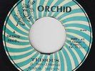 Roots Reggae 45 - Junior Murvin - Tedious - Orchid - VG+ mp3