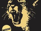 Ratatat - Classics VINYL LP NEW