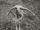 Black Egg - Legacy From A Cold World Vinyl EU LP+CD