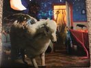 Infinity On High by Fall Out Boy 2 LP Vinyl