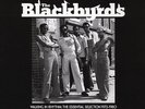 The Blackbyrds - Walking In Rhythm: The Essential Selection 1973-1980 Vinyl