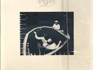 Captain Beefheart Clear Spot