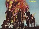 FEVER TREE**FEVER TREE**VINYL