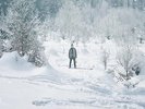Grieves - Winter & The Wolves [Vinyl New]