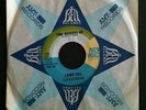 Rare 1966 Northern Soul DJ Promo 45 Lainie Hill NEW VOICE 809 TIME MARCHES ON NM
