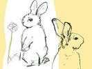 Look Around - Beat Happening (2015, Vinyl NUEVO)2 DISC SET