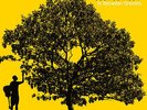 Jack Johnson - In Between Dreams [Vinyl New]