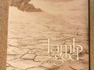 Lamb of God Resolution 12
