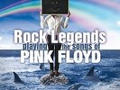 Rock Legends Playing The Songs Of Pink Floyd - VARIOUS [2x LP]